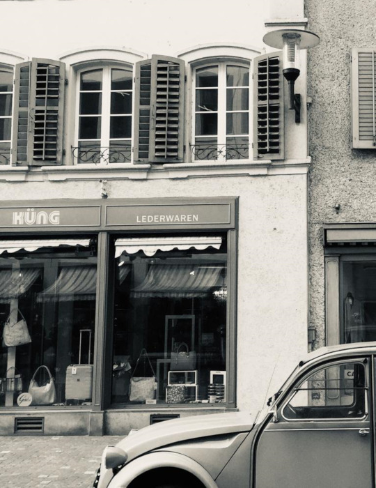 Leder Küng Brugg
